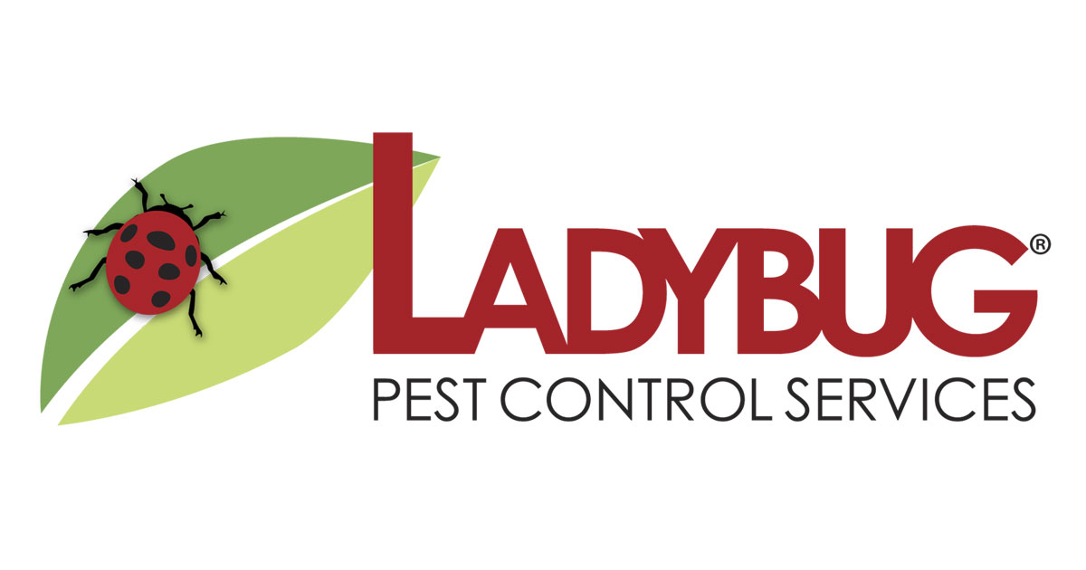 Pest Control Near Me