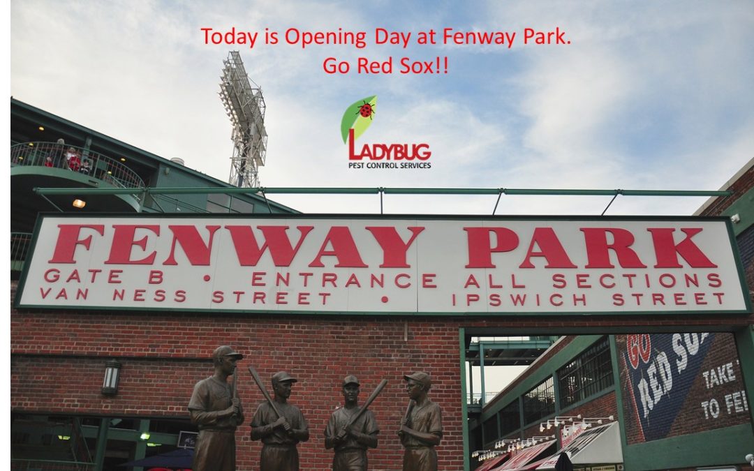 Today is Opening Day at Fenway Park!