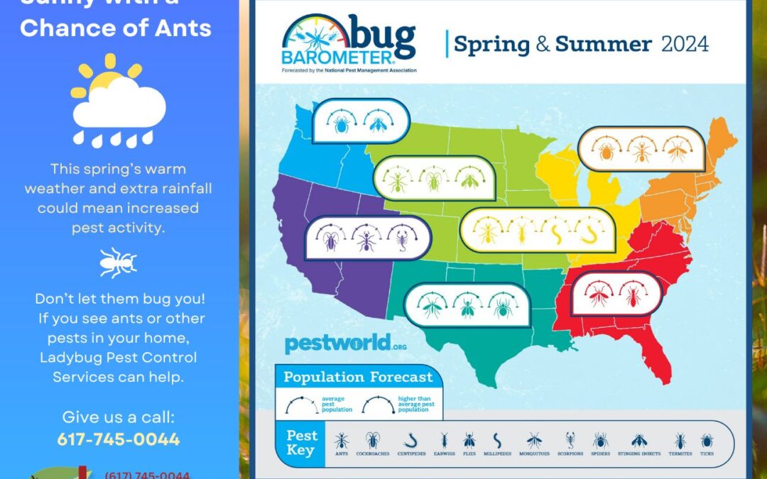 This Season’s Bug Barometer: More Pests on the Forecast