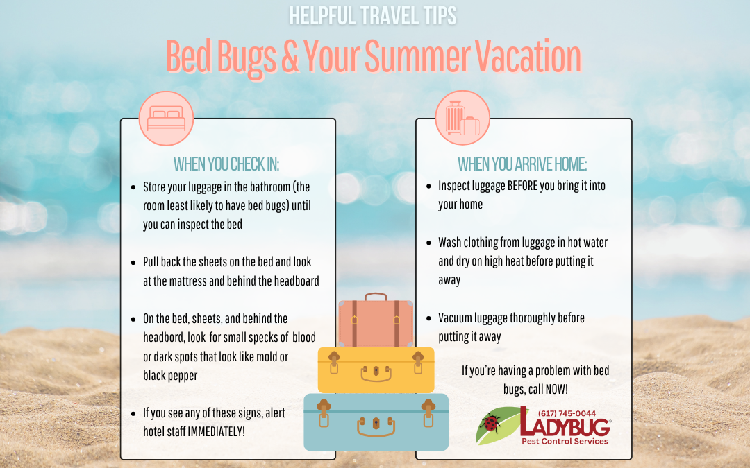 Tips for Summer Travel