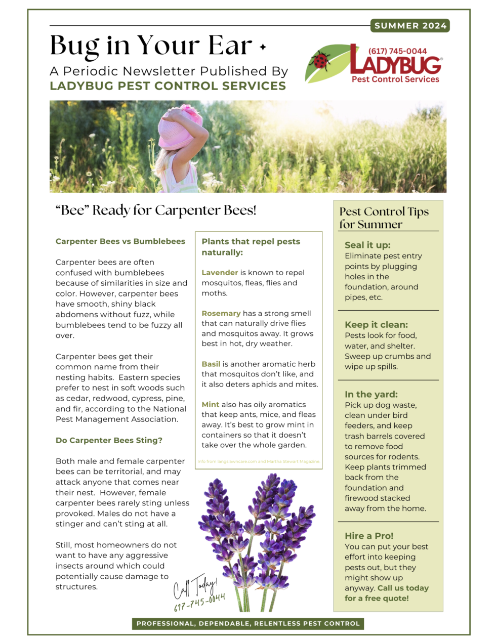 Bug in Your Ear: Summer Newsletter - Ladybug Pest Control Services