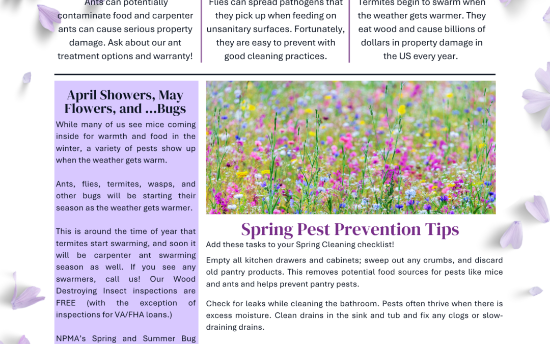 Bug in Your Ear: Spring Newsletter