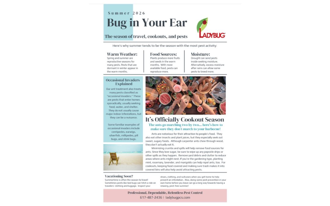 Bug in Your Ear: Summer 2026